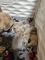 processed/35be654d-6d64-47f2-af19-e50af8eef238/facility/2cee47ef-097b-46e6-9197-ff52ad2e72b0