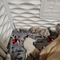 processed/35be654d-6d64-47f2-af19-e50af8eef238/facility/3beeec9f-dc4a-4286-8aaa-94ba25cb972c