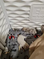 processed/35be654d-6d64-47f2-af19-e50af8eef238/facility/3beeec9f-dc4a-4286-8aaa-94ba25cb972c