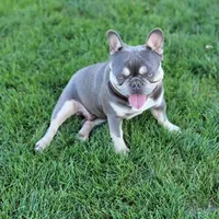 processed/35be654d-6d64-47f2-af19-e50af8eef238/facility/65669b84-345a-4e22-adcc-3a2c52615a59