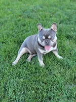 processed/35be654d-6d64-47f2-af19-e50af8eef238/facility/65669b84-345a-4e22-adcc-3a2c52615a59