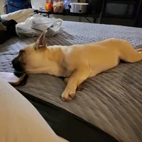 processed/35be654d-6d64-47f2-af19-e50af8eef238/facility/82992fbd-54fc-4533-94ad-76359cbd9c5d