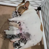 processed/35be654d-6d64-47f2-af19-e50af8eef238/facility/8ae20ab2-70dd-4a74-81a8-d5d66575f66c