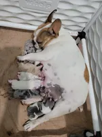 processed/35be654d-6d64-47f2-af19-e50af8eef238/facility/8ae20ab2-70dd-4a74-81a8-d5d66575f66c