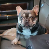 processed/35be654d-6d64-47f2-af19-e50af8eef238/facility/987753e1-685f-4160-bb62-0ab3768a675b