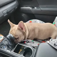 processed/35be654d-6d64-47f2-af19-e50af8eef238/facility/fe78dbb8-c1c9-4dde-95d4-228112965f6c