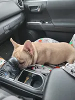 processed/35be654d-6d64-47f2-af19-e50af8eef238/facility/fe78dbb8-c1c9-4dde-95d4-228112965f6c