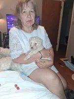 Lambchop in fm form. Rare, a female Labradoodle for sale in Augusta, GA – 3 of 10