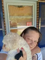 Lambchop in fm form. Rare, a female Labradoodle for sale in Augusta, GA – 5 of 10