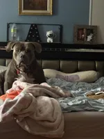 processed/35d26c5b-4ef3-4222-b790-6c40be494a85/facility/c5310681-bef6-4897-828f-8ffe45b688fd