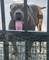 processed/35d26c5b-4ef3-4222-b790-6c40be494a85/facility/c9b3150b-4035-4993-86e7-a3a2fde2fd1d