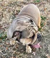 processed/35d63e88-8932-4290-a0b7-c2c421361fd3/listing/8210d2ab-22cf-4770-b9d4-a837b7f7b3c3/aa5b1495-07da-4400-bf72-693c1ba5ce6e