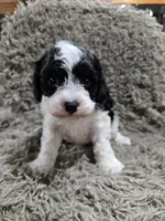 processed/35e4c604-03d4-4bf8-82ed-024b8b27a3ce/listing/8b3999a6-2b7c-447f-ba09-e5b43229365b/00a268ab-076b-4e4b-8afd-087364057c13