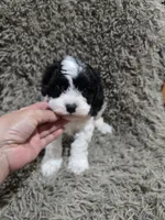 processed/35e4c604-03d4-4bf8-82ed-024b8b27a3ce/listing/8b3999a6-2b7c-447f-ba09-e5b43229365b/3abb10f9-1b6c-4fb8-b73e-a3eaefff5c1c