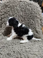 processed/35e4c604-03d4-4bf8-82ed-024b8b27a3ce/listing/8b3999a6-2b7c-447f-ba09-e5b43229365b/c01a7896-66c5-463d-8d4a-22e0fbcd7a4e