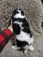 processed/35e4c604-03d4-4bf8-82ed-024b8b27a3ce/listing/8b3999a6-2b7c-447f-ba09-e5b43229365b/d1c52287-32e4-4503-926b-2a3bf7608eda