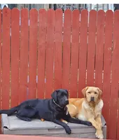 processed/35e9d908-5e0c-44bf-a1ba-d1ee8d941852/facility/1f88a928-b81e-4f0a-96dd-9e41d71a458a