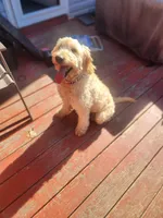 processed/35e9d908-5e0c-44bf-a1ba-d1ee8d941852/facility/202fcb5a-4301-4a03-8333-a1e3d8fb2363