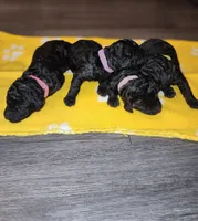 processed/35e9d908-5e0c-44bf-a1ba-d1ee8d941852/facility/25881ce1-8e37-4470-9228-654a0a782b55