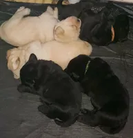 processed/35e9d908-5e0c-44bf-a1ba-d1ee8d941852/facility/7ac58261-7438-4963-8d2d-f2c65bfef890