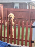 processed/35e9d908-5e0c-44bf-a1ba-d1ee8d941852/facility/8ee3e903-ac22-4af9-9456-fba8d710f1af