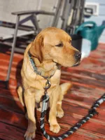 processed/35e9d908-5e0c-44bf-a1ba-d1ee8d941852/facility/bab02ab8-8864-4e65-900b-399a301d21d1