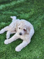 processed/35e9d908-5e0c-44bf-a1ba-d1ee8d941852/facility/c59169ba-a88f-4680-8866-22b10e4d6454