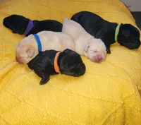 processed/35e9d908-5e0c-44bf-a1ba-d1ee8d941852/facility/e39bed3a-44b3-4543-9748-3f437d6f5af8