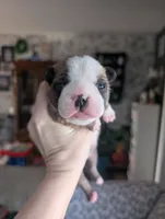 processed/35fcdf42-716d-499a-9f47-311d21f6f84e/listing/014d2a07-662e-41e7-a2f9-ac79b9282230/4dcddc29-07e4-416d-b3e6-a40b295499f3