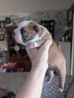 processed/35fcdf42-716d-499a-9f47-311d21f6f84e/listing/014d2a07-662e-41e7-a2f9-ac79b9282230/53bce4be-eaf5-468c-a474-587b8e29150e