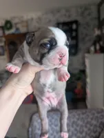 processed/35fcdf42-716d-499a-9f47-311d21f6f84e/listing/7862d254-923b-48b3-9ed9-0c9fea3c1a47/5fc0696a-17a8-45db-861b-b32b475cd355