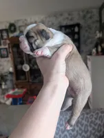 processed/35fcdf42-716d-499a-9f47-311d21f6f84e/listing/7862d254-923b-48b3-9ed9-0c9fea3c1a47/941b5182-6ae7-44eb-b02d-b4004e9d4a5a