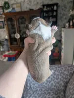 processed/35fcdf42-716d-499a-9f47-311d21f6f84e/listing/7862d254-923b-48b3-9ed9-0c9fea3c1a47/b2bc65be-43a5-4102-97d3-92dd0a74755d