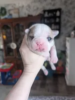 processed/35fcdf42-716d-499a-9f47-311d21f6f84e/listing/e47b7bd7-2419-48af-b82a-4327fe2597ae/1fabb246-69a1-4941-9b6e-3169329bc225