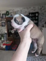 processed/35fcdf42-716d-499a-9f47-311d21f6f84e/listing/e624a11f-7261-420e-87cb-39d8d31ff615/5dcee35b-91a6-4f1d-9d14-31365ed1a2c4