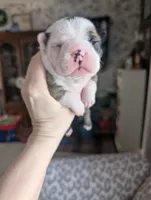 processed/35fcdf42-716d-499a-9f47-311d21f6f84e/listing/e624a11f-7261-420e-87cb-39d8d31ff615/93df4a03-67cf-4692-ac20-3b7ba08410bd