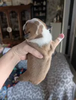 processed/35fcdf42-716d-499a-9f47-311d21f6f84e/listing/f50b3e79-0013-420e-b659-b46c79dbb08f/52991468-63db-4003-abe6-06b4d2b7a3c3