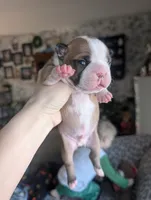 processed/35fcdf42-716d-499a-9f47-311d21f6f84e/listing/f50b3e79-0013-420e-b659-b46c79dbb08f/a6cfde6c-305e-49b3-b5f7-0516350d3949