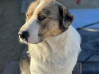 processed/360adbd4-ddad-4a78-8bd4-7b8ca559eae7/facility/343f9b61-1ab8-40db-8937-d31d2c5afa04