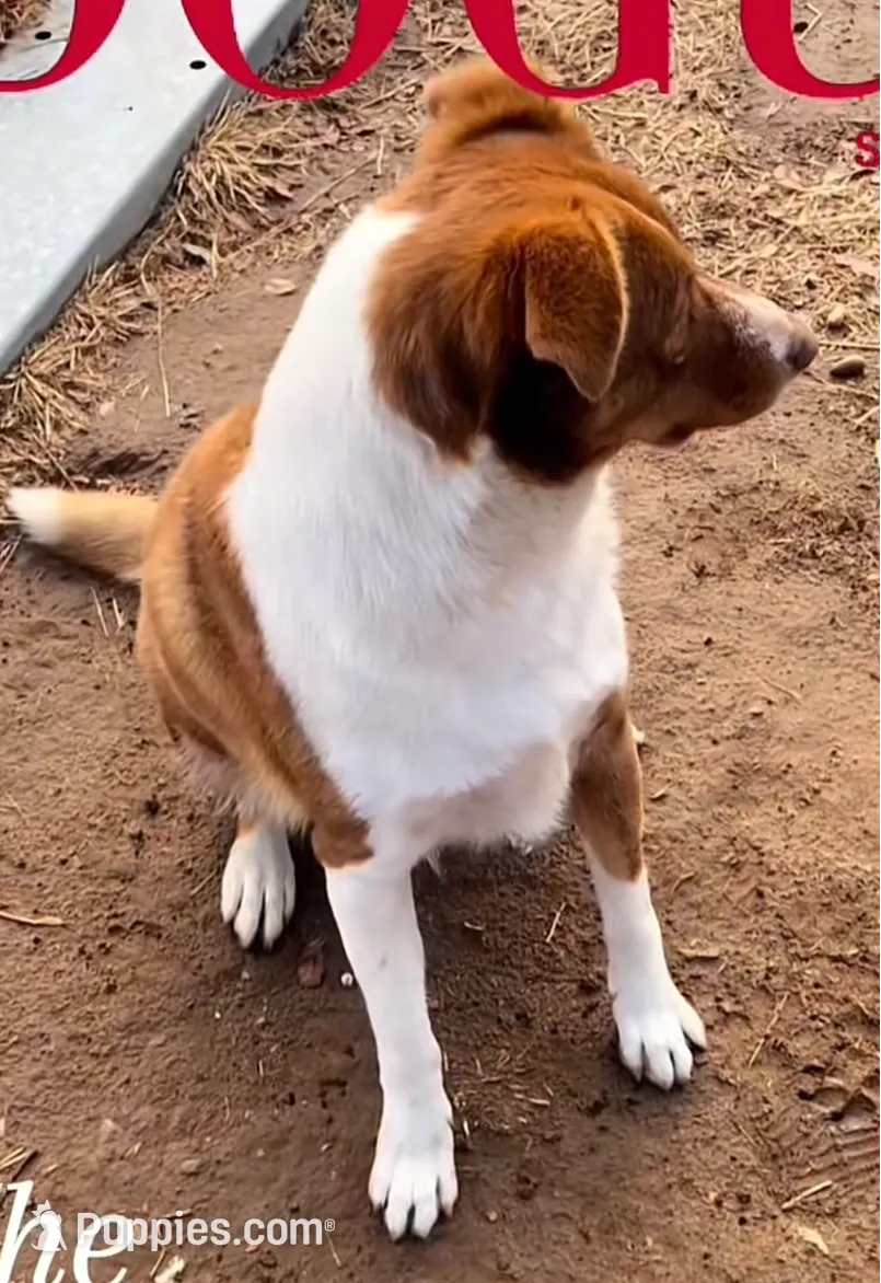 processed/360adbd4-ddad-4a78-8bd4-7b8ca559eae7/facility/580d4b75-fbdd-46ca-905d-96663d42204d