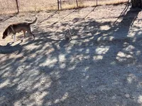 processed/360adbd4-ddad-4a78-8bd4-7b8ca559eae7/facility/8310153f-22e1-41d1-912c-54176932e5ca