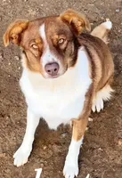 processed/360adbd4-ddad-4a78-8bd4-7b8ca559eae7/facility/97f96d7a-11c0-43b6-8c82-6940eb24688a