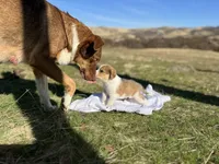 processed/360adbd4-ddad-4a78-8bd4-7b8ca559eae7/facility/9996058f-f84f-4684-bcec-3046f30fc3d0