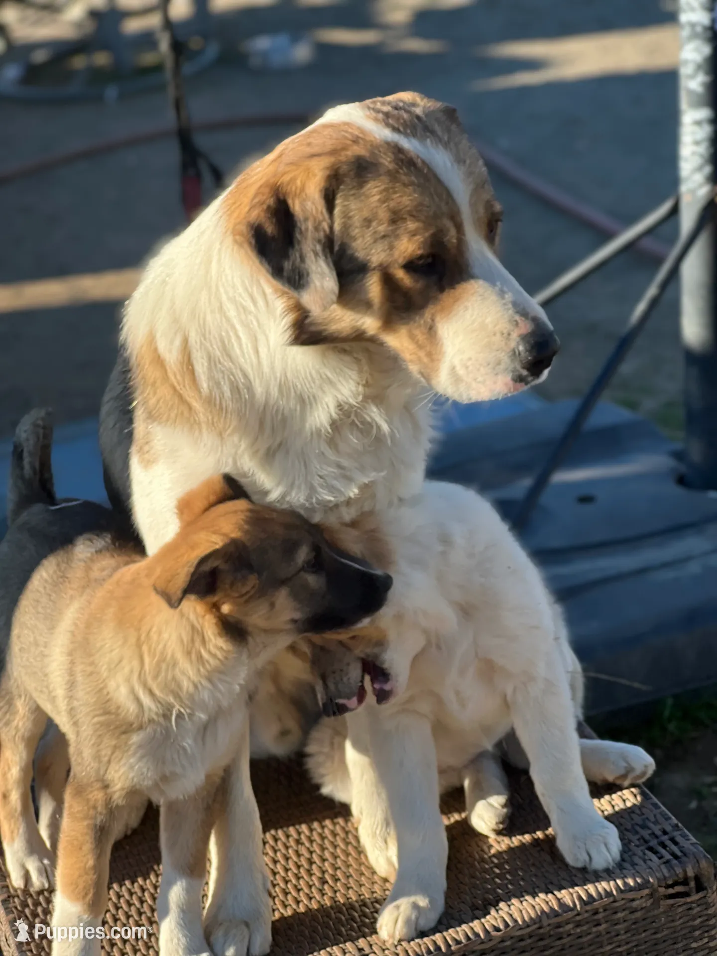 processed/360adbd4-ddad-4a78-8bd4-7b8ca559eae7/facility/ec4f61a7-ab81-4699-b0f2-ac60915c5aec