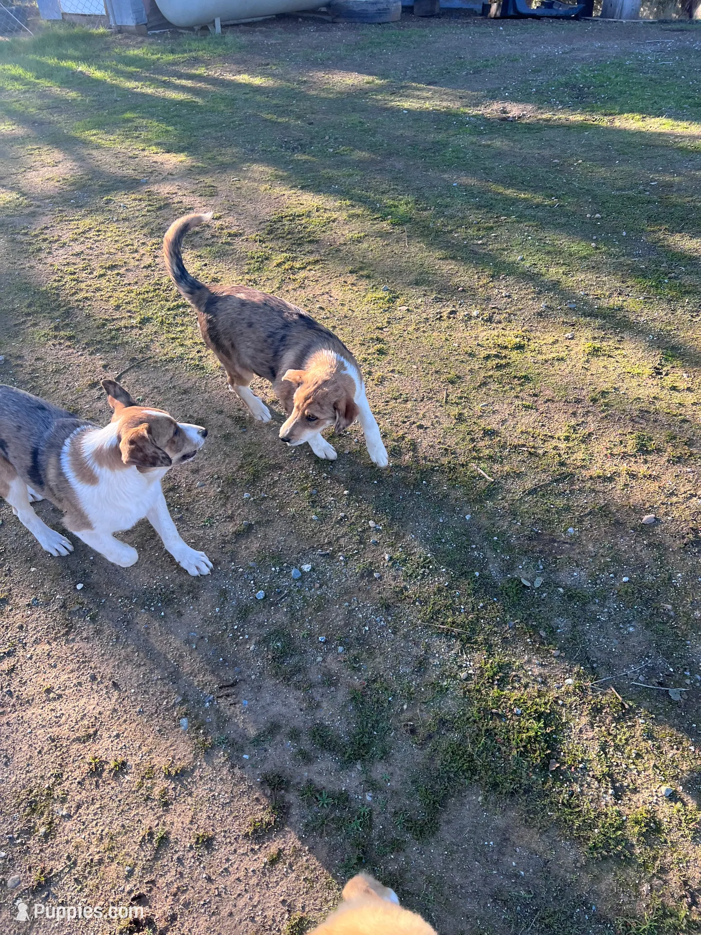 processed/360adbd4-ddad-4a78-8bd4-7b8ca559eae7/facility/fb0700c8-576d-4719-ab60-89ea2060c5ec