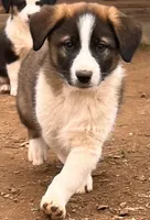 processed/360adbd4-ddad-4a78-8bd4-7b8ca559eae7/listing/8fcdff3f-9643-4a63-ad6e-ee4f67e209fb/3570be4a-6659-4cda-9cd7-54d407aba386