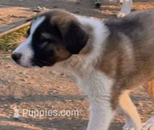 processed/360adbd4-ddad-4a78-8bd4-7b8ca559eae7/listing/8fcdff3f-9643-4a63-ad6e-ee4f67e209fb/881445dd-a79e-416d-832c-b79e77809d9e