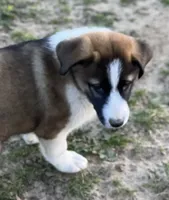 processed/360adbd4-ddad-4a78-8bd4-7b8ca559eae7/listing/8fcdff3f-9643-4a63-ad6e-ee4f67e209fb/8fd42eb7-c559-4e13-9aed-1f801ce3daf2