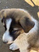 processed/360adbd4-ddad-4a78-8bd4-7b8ca559eae7/listing/8fcdff3f-9643-4a63-ad6e-ee4f67e209fb/e5ff8f5c-859a-4f87-96c1-f4717e7d0edb