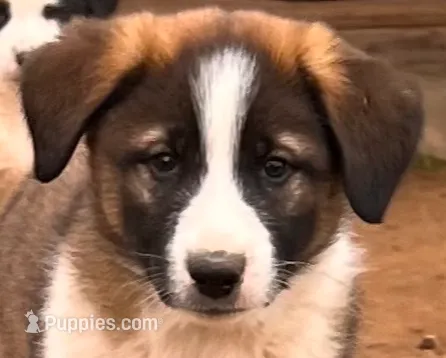 processed/360adbd4-ddad-4a78-8bd4-7b8ca559eae7/listing/8fcdff3f-9643-4a63-ad6e-ee4f67e209fb/e8e2b420-4c33-4044-a242-bec01dd6b735